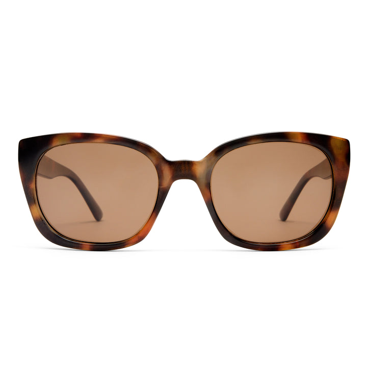 Teneriffe sunglasses in amber tort, front view showing frame shape and lens design