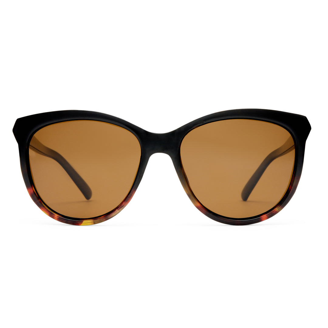 Calwell sunglasses in Black/Tort Splice shown front‑on with round frame design