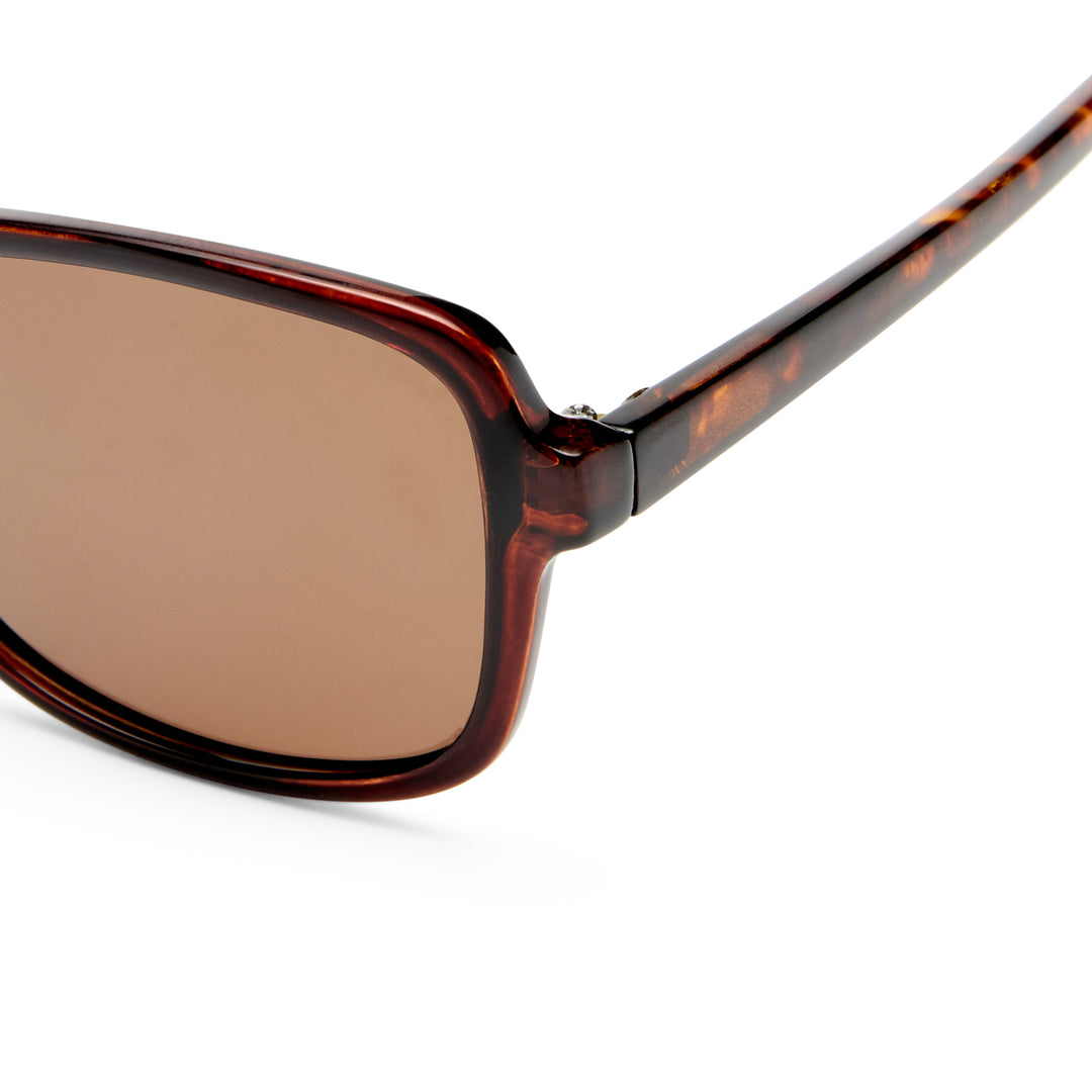 Brown sunglasses with tortoiseshell frame on a white background
