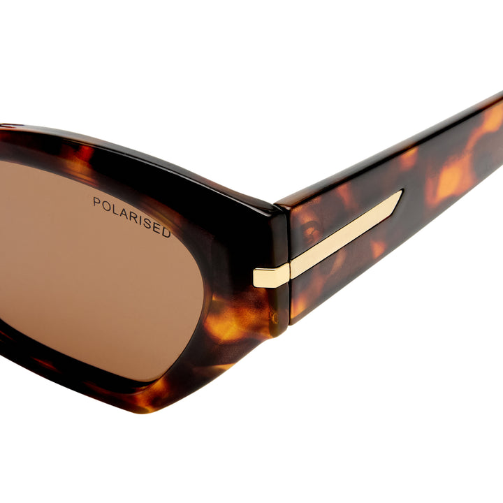 Peregian sunglasses in amber tort, close-up detail of frame and temple showing tort finish and construction details