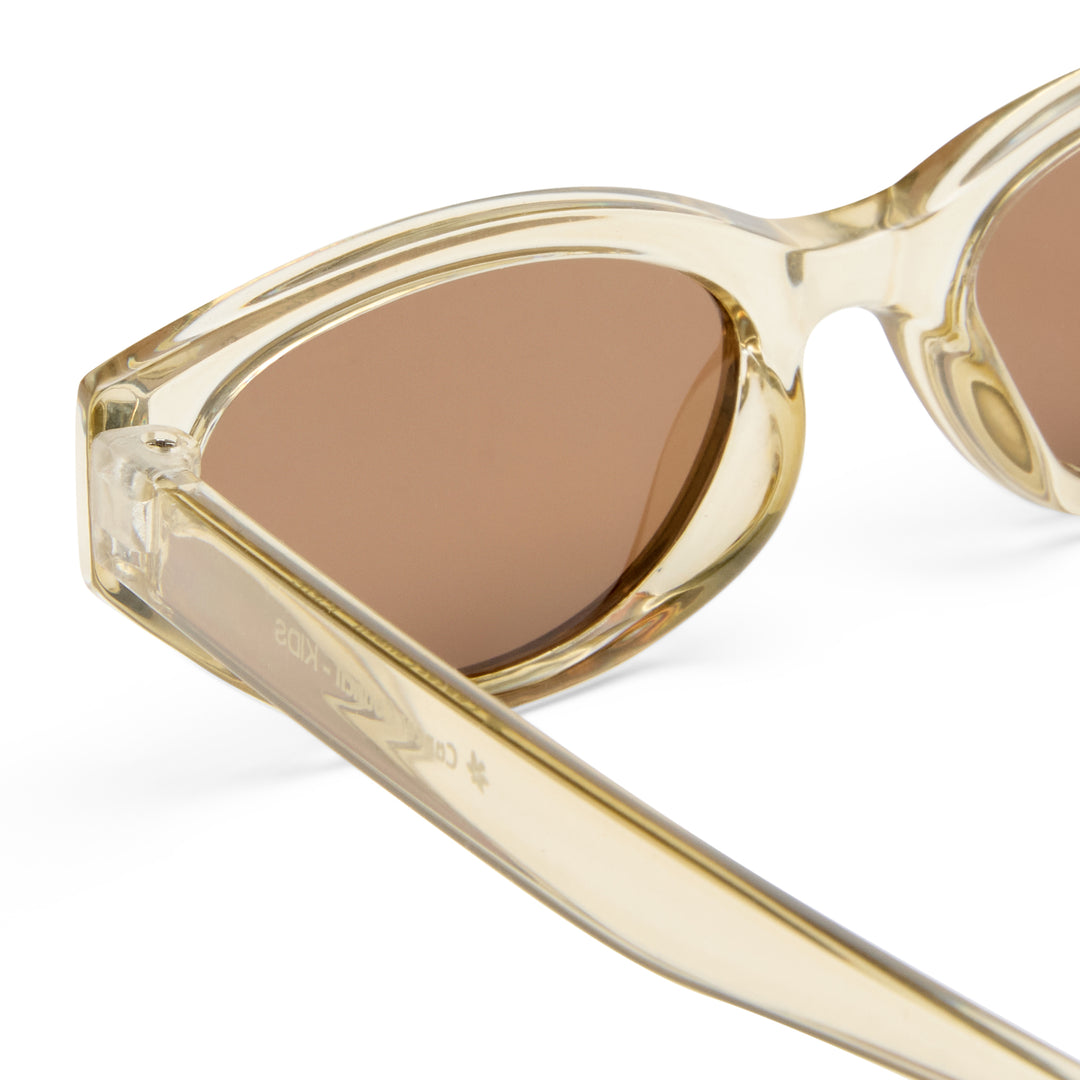 Gold-framed sunglasses with brown lenses on a white background